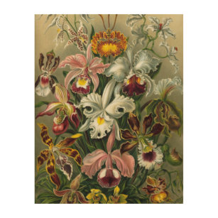 Ernst Haeckel Orchids, Vintage Rainforest Flowers Wood Wall Art