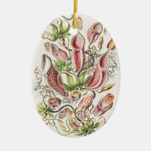 Ernst Haeckel Pitcher Plant Scientific Illustratio Ceramic Ornament