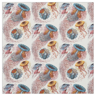 Ernst Haeckel’s Discomedusae Fabric