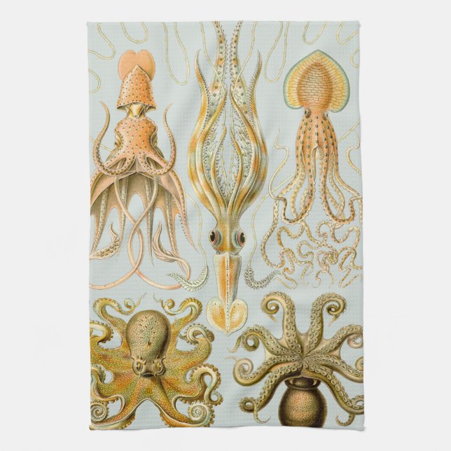 Ernst Haeckel’s Gamochonia Kitchen Towel (Vertical)