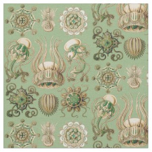 Ernst Haeckel’s Narcomedusae Fabric