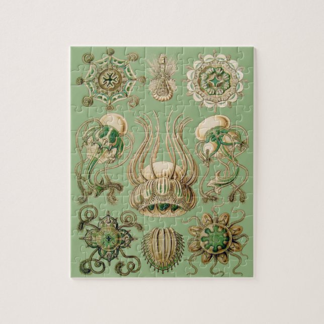 Ernst Haeckel’s Narcomedusae Jigsaw Puzzle (Vertical)