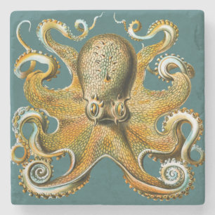 Ernst Haeckel’s Octopus Stone Coaster