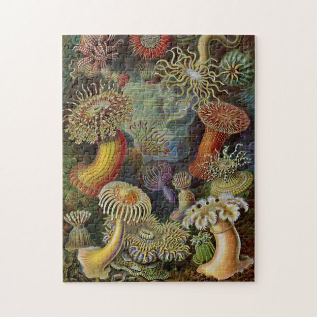 Ernst Haeckel Sea Anemones Jigsaw Puzzle (Vertical)