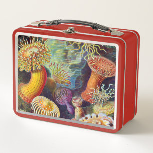 Ernst Haeckel Sea Anemones Marine:Actiniae Metal Lunch Box