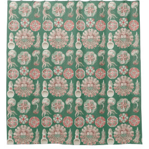 Ernst Haeckel Sea Life Pink Jellyfish Green Poster