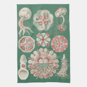 Ernst Haeckel Sea Life Pink Jellyfish Green Poster Kitchen Towel