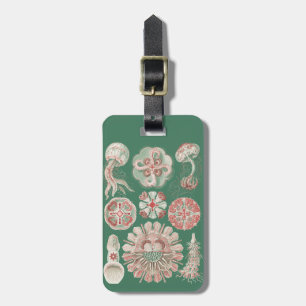Ernst Haeckel Sea Life Pink Jellyfish Green Poster Luggage Tag