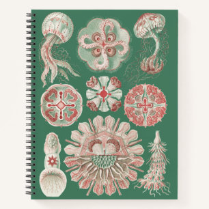 Ernst Haeckel Sea Life Pink Jellyfish Green Poster Notebook