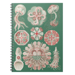Ernst Haeckel Sea Life Pink Jellyfish Green Poster Notebook
