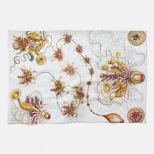 Ernst Haeckel Siphonophorae Jellyfish Kitchen Towel