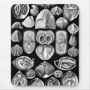 Ernst Haeckel Spirobranchia Mouse Pad