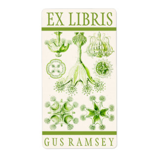 Ernst Haeckel Stauromedusae Bookplate