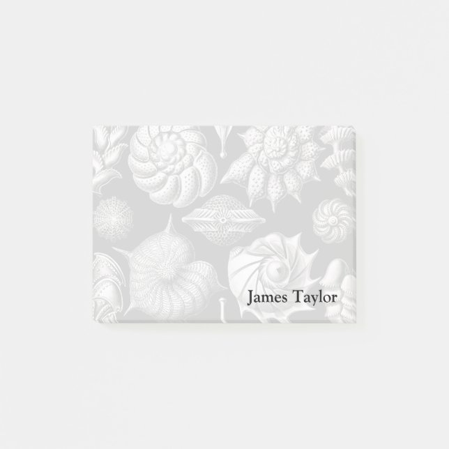 Ernst Haeckel Thalamophora II Post-it Notes (Front)