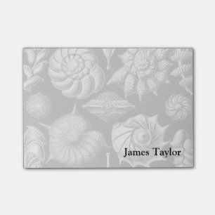 Ernst Haeckel Thalamophora II Post-it Notes