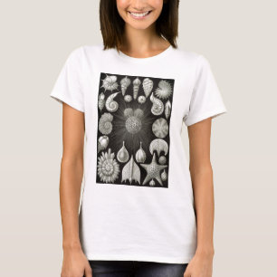 Ernst Haeckel Thalamphora T-Shirt