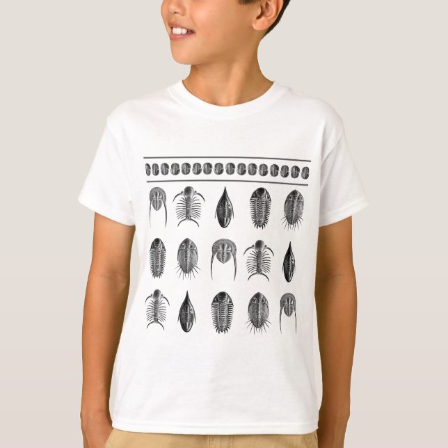 Ernst Haeckel Trilobite Pattern - large T-Shirt (Front)