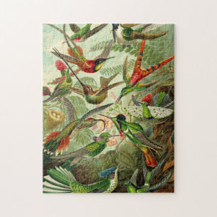 Ernst Haeckel Trochilidae Hummingbird Jigsaw Puzzle
