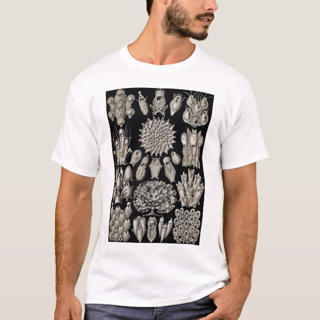 Ernst Haeckel - Tshirt Bryozoa2 (Devant)