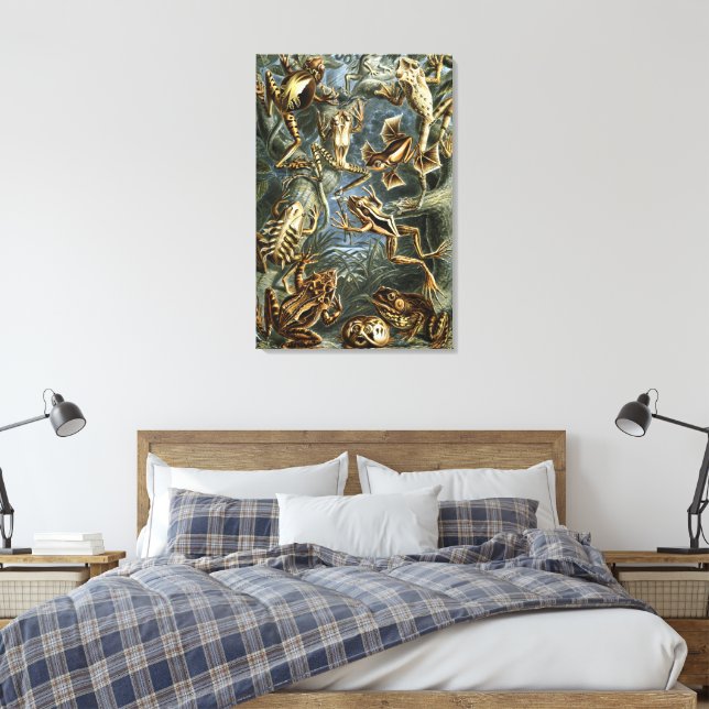 Ernst Haeckel variety of exotic frogs:Batrachia Canvas Print (Insitu(Bedroom))