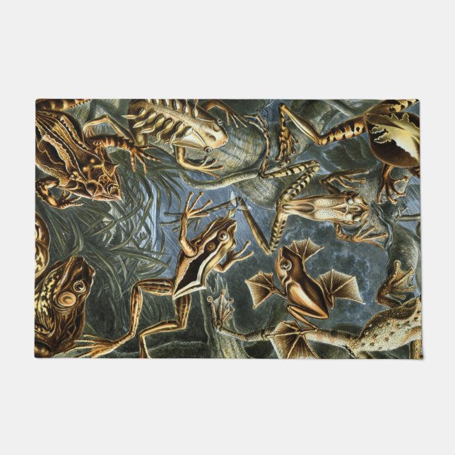 Ernst Haeckel variety of exotic frogs:Batrachia Doormat (Front)