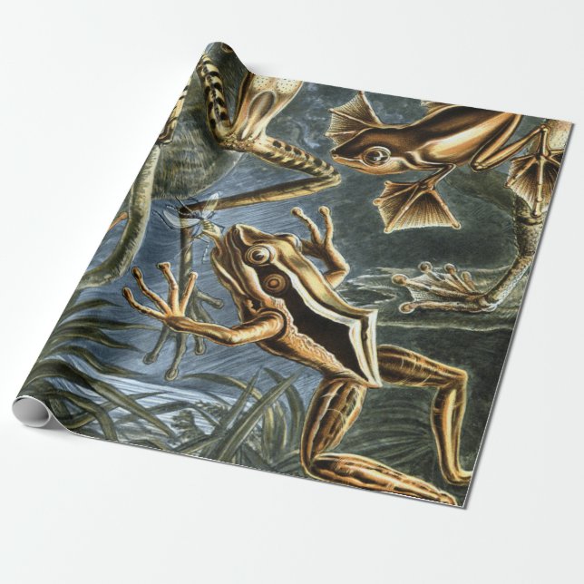 Ernst Haeckel variety of exotic frogs:Batrachia Wrapping Paper (Unrolled)