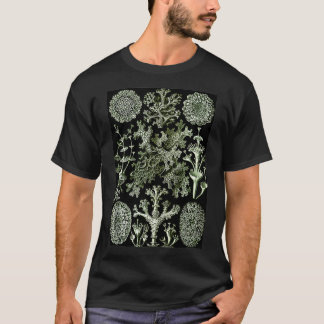 Ernst Haeckel Vintage Biological Illustration Lich T-Shirt