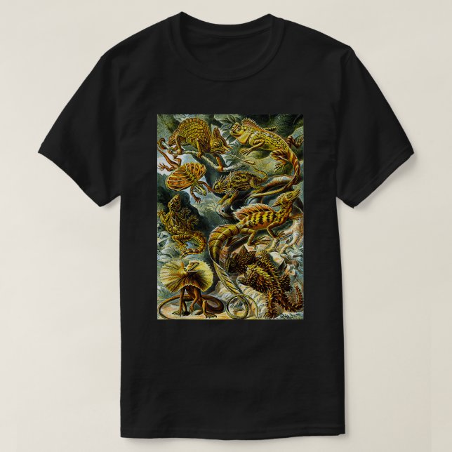Ernst Haeckel Vintage Biological Illustration Liza T-Shirt (Design Front)