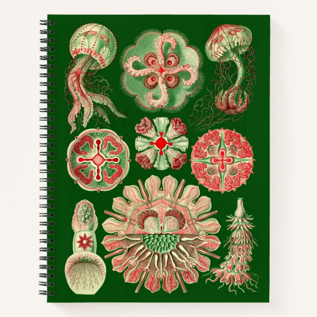 Ernst Haeckel Vintage Jellyfish Illustration Notebook (Front)