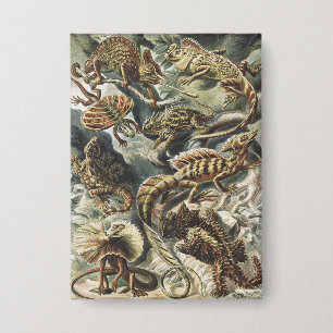 Ernst Haeckel Vintage Reptile Lizard Nature Art