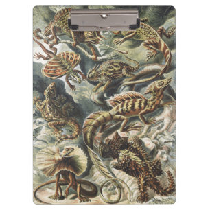 Ernst Haeckel Vintage Reptile Lizard Nature Art Clipboard