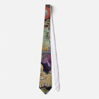 Ernst Haeckel's Actiniae Tie