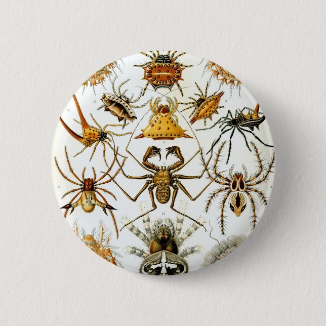 Ernst Haeckel's Arachnida Spiders 2 Inch Round Button (Front)