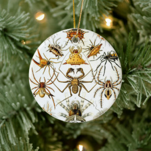 Ernst Haeckel's Arachnida Spiders Ceramic Ornament
