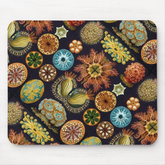 Ernst Haeckel's Ascidiae Ocean Life Mouse Pad (Front)