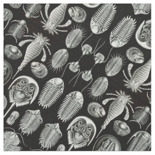 Ernst Haeckel's Aspidonia Fabric