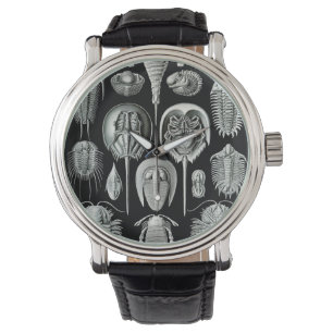 Ernst Haeckel's Aspidonia Watch
