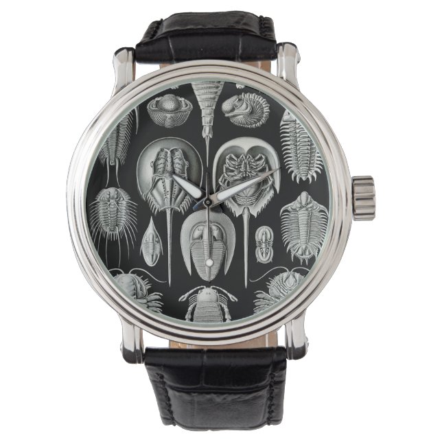Ernst Haeckel's Aspidonia Watch (Front)