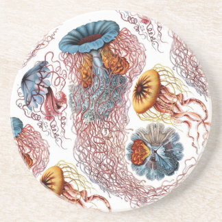Ernst Haeckel's Disco Medusae Coaster