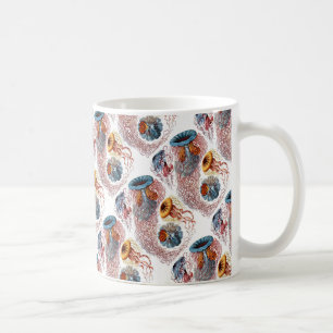 Ernst Haeckel's Disco Medusae Coffee Mug
