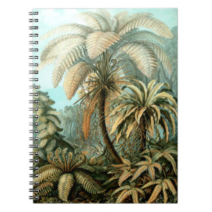 Ernst Haeckel's Filicinae (Tree Ferns) Notebook