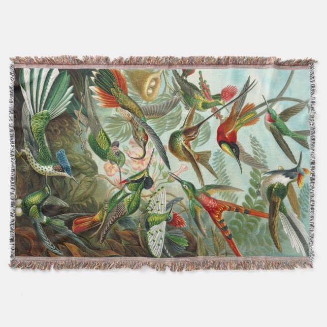 Ernst Haeckel's Gorgeous Hummingbirds Throw Blanket (Front)