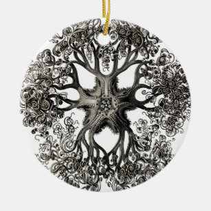 Ernst Haeckel's Gorgonocephalidae Ceramic Ornament