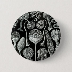 Ernst Haeckel's Mycetozoa 2 Inch Round Button