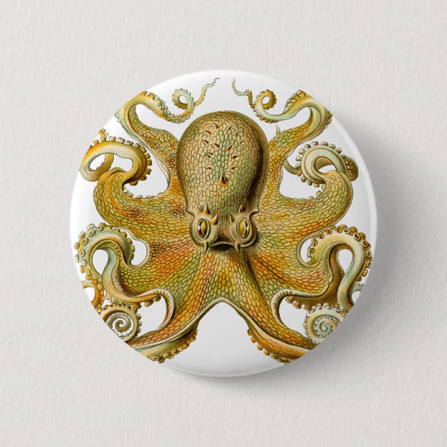 Ernst Haeckel's Octopus 2 Inch Round Button (Front)