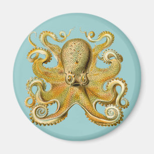 Ernst Haeckel's Octopus Magnet