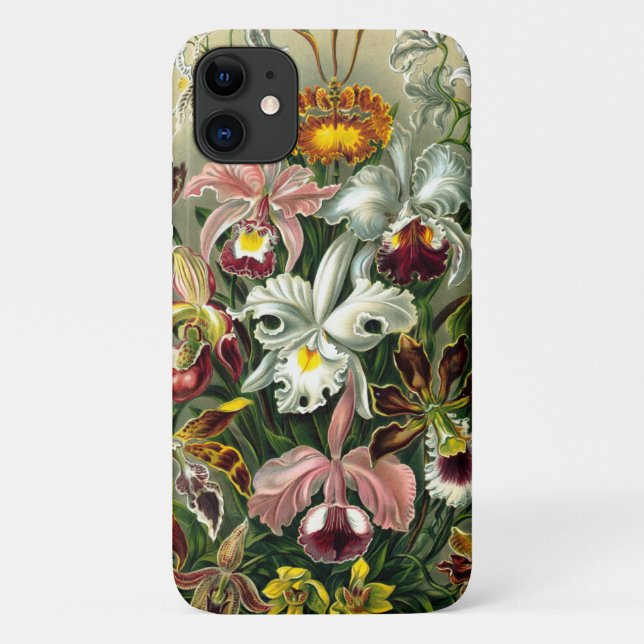 Ernst Haeckel's Orchidaceae Case-Mate iPhone Case (Back)
