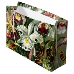 Ernst Haeckel's Orchidaceae Large Gift Bag