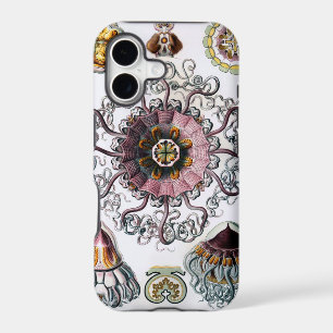 Ernst Haeckel's Peromedusae