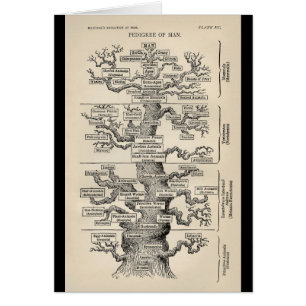 Ernst Haeckel's "tree of life"